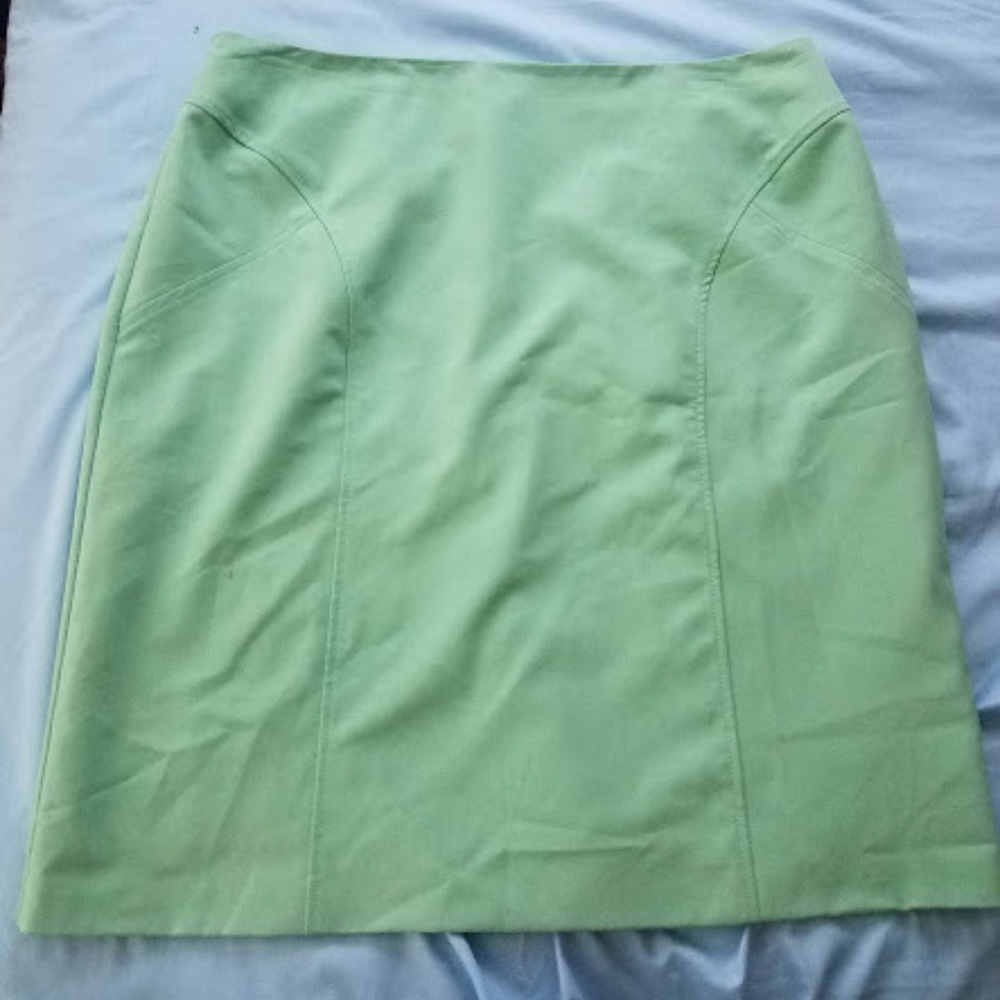 🛍 Mint 20W Pencil Skirt with Retro Vibe